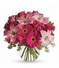 A Little Pink Me Up In Louisville, KY, In Kentucky, Schmitt's Florist